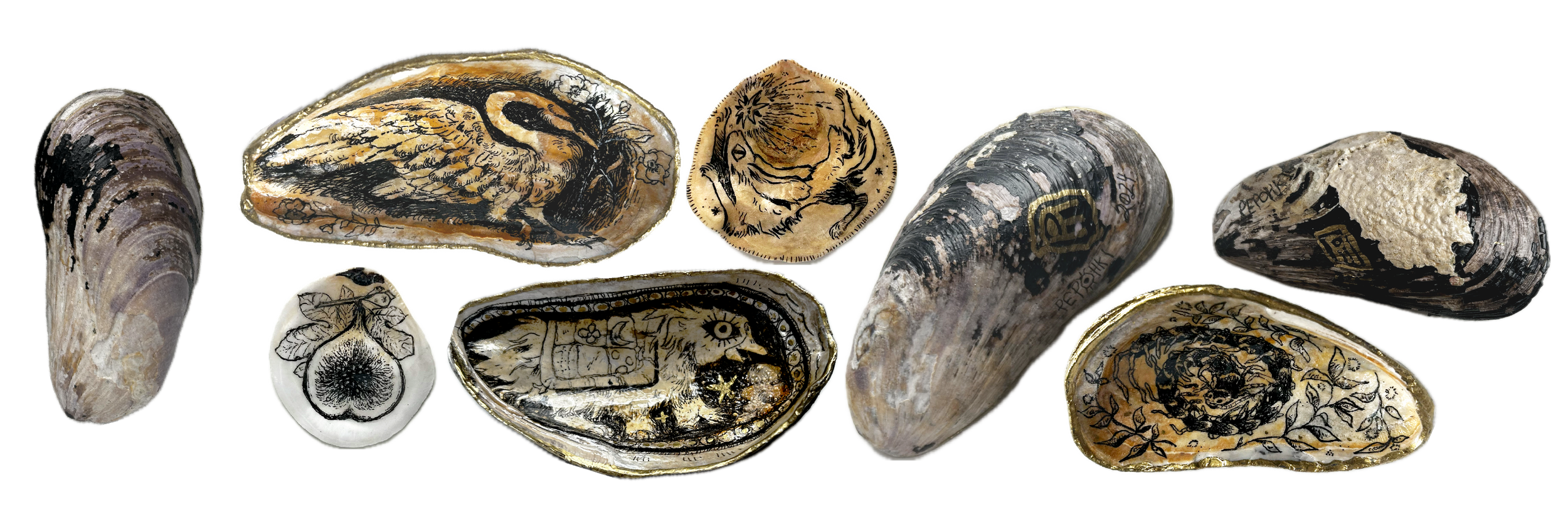 A Custom Shell