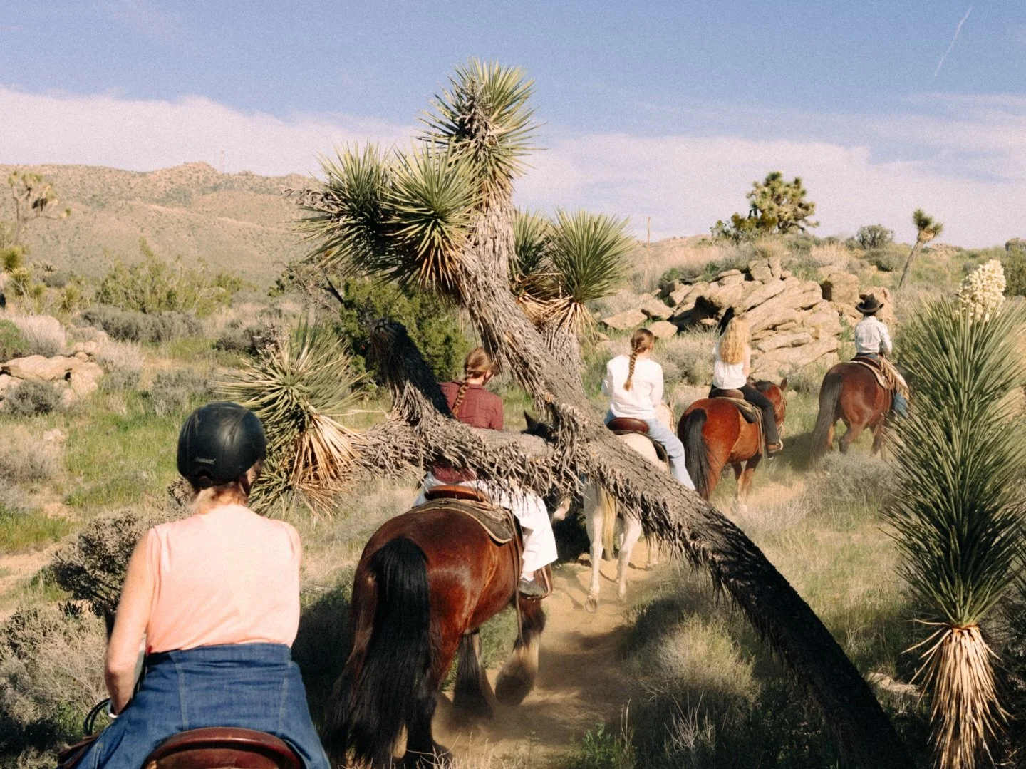 spring riding in the desert. @megnrogers
