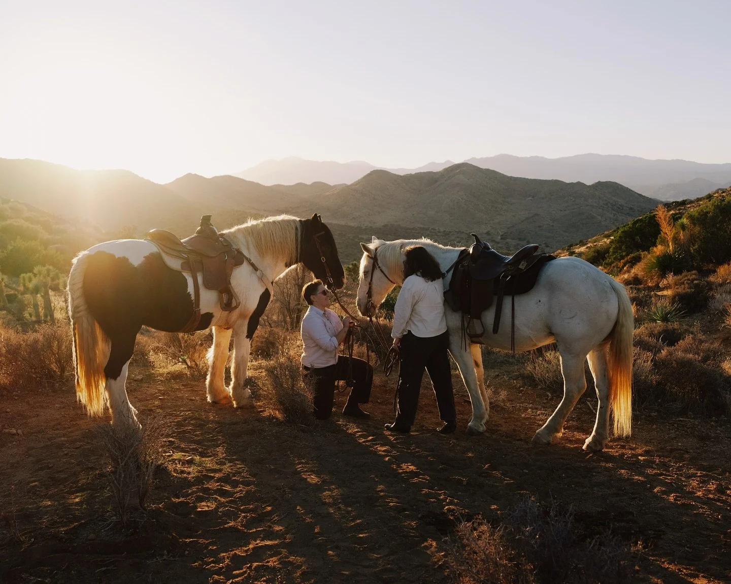 these magic sun-kissed moments >>