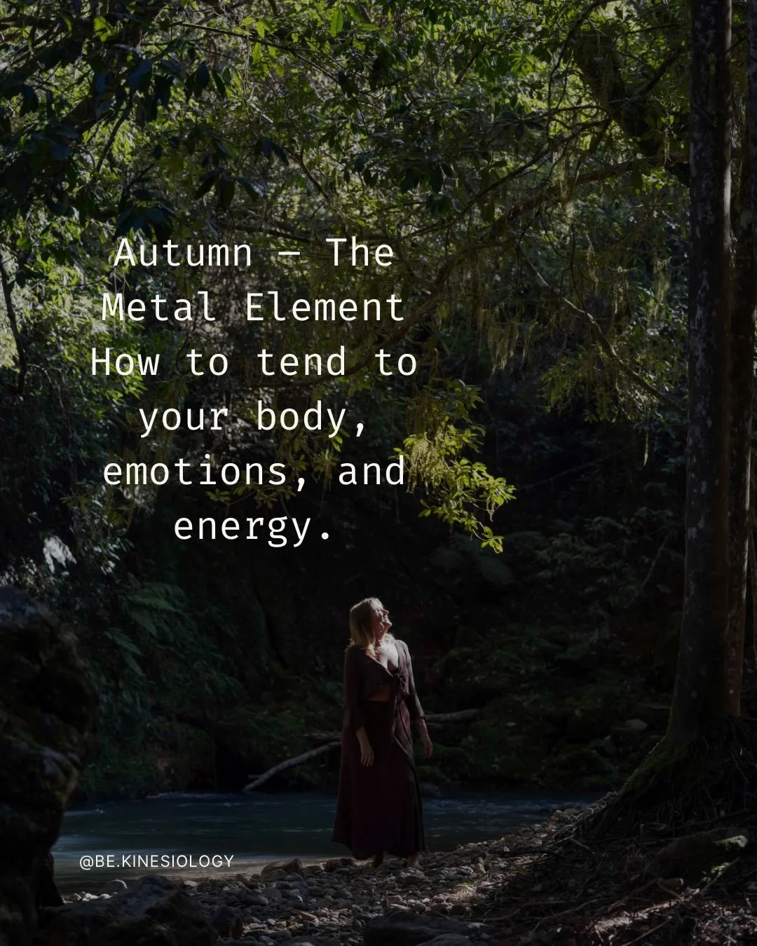 Autumn &ndash; The Metal Element 🍂

Metal connects to the Lungs, Large Intestine, and the emotions of grief and release.

If out of balance, you might feel tender, emotional, or notice flu-like symptoms, heaviness, or difficulty letting go.

Balance
