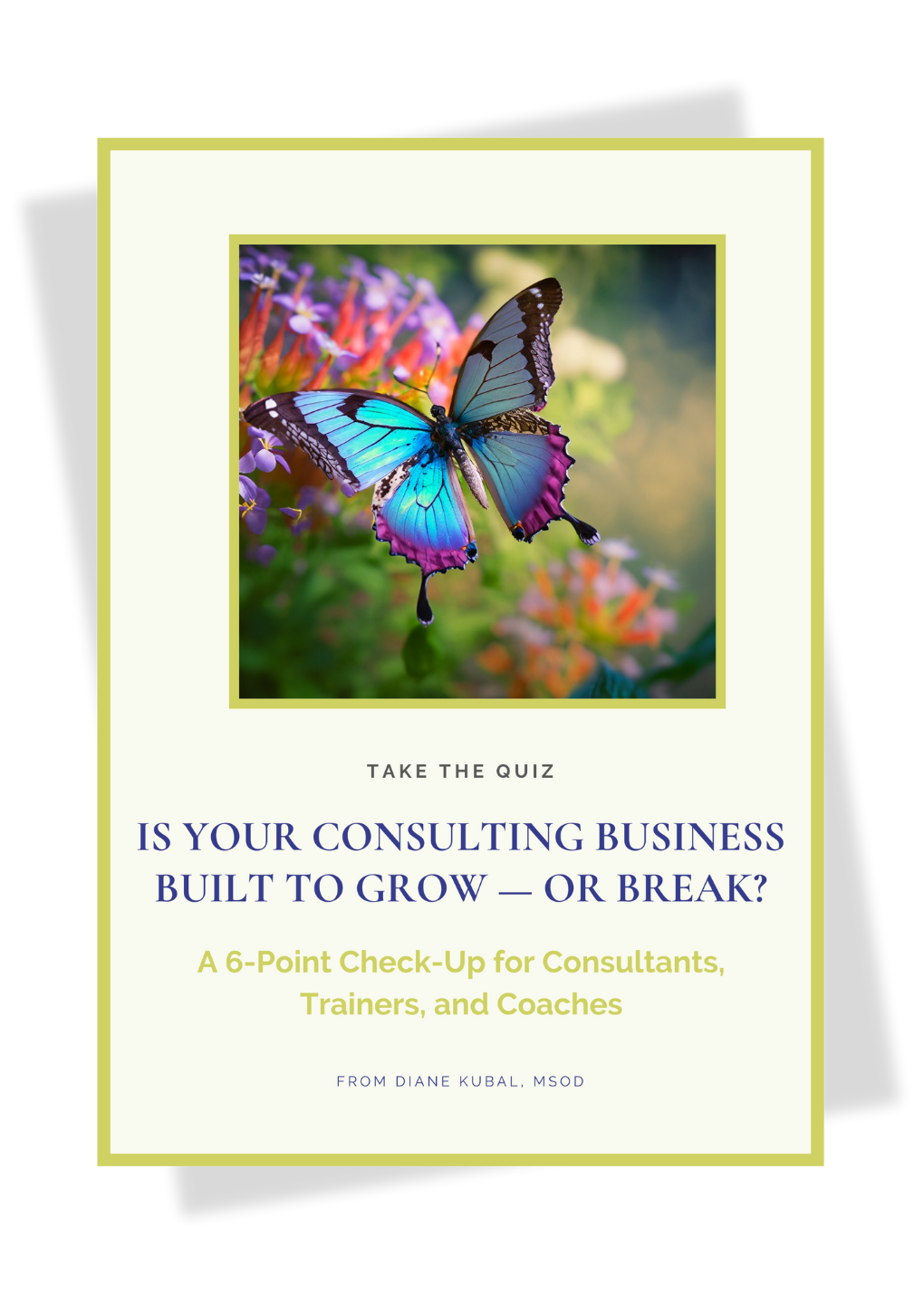 Quiz: 6-Point Check-Up for Consultants, Trainers & Coaches