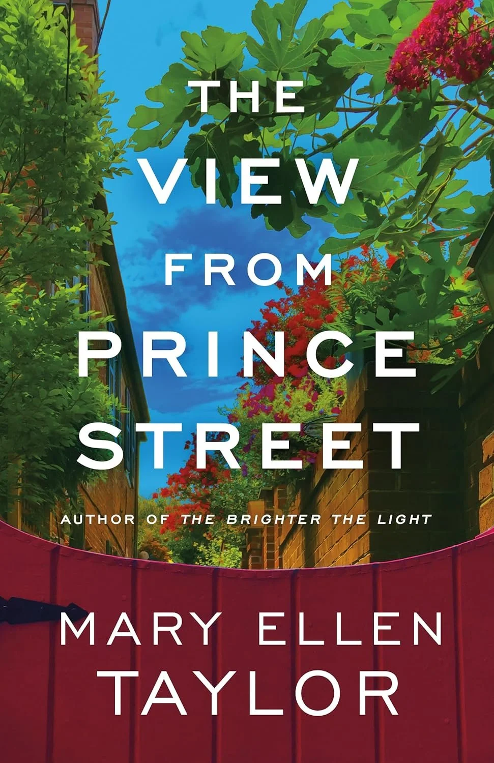 Copyedit of The View from Prince Street (Alexandria book 2), Mary Ellen Taylor, Montlake 2025