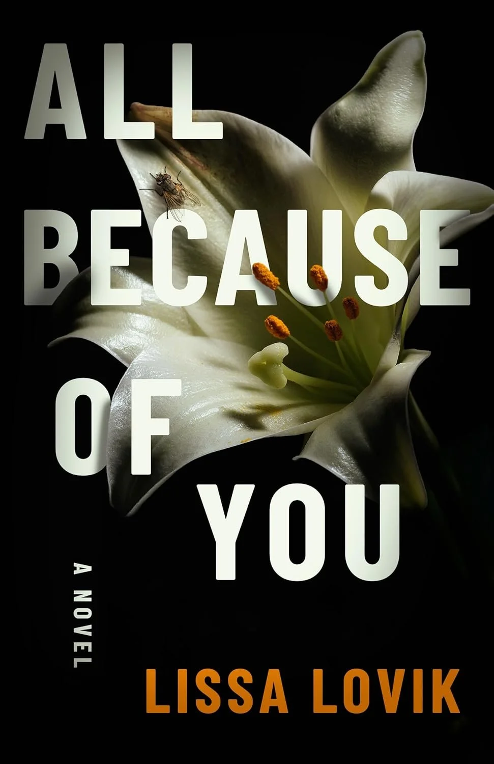 Copyedit of All Because of You, Lissa Lovik, Thomas & Mercer 2025