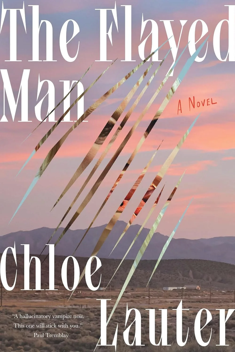 Proofread of The Flayed Man, Chloe Lauter, Soft Skull 2026