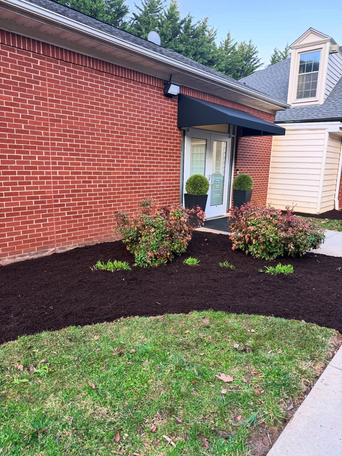 Spring reminds us He makes all things new - bringing life out of what was just dark, empty, &amp; bitter cold. Beautiful flowers &amp; green grass after a long winter&rsquo;s wait. There is always hope in seasons of waiting. 🌷