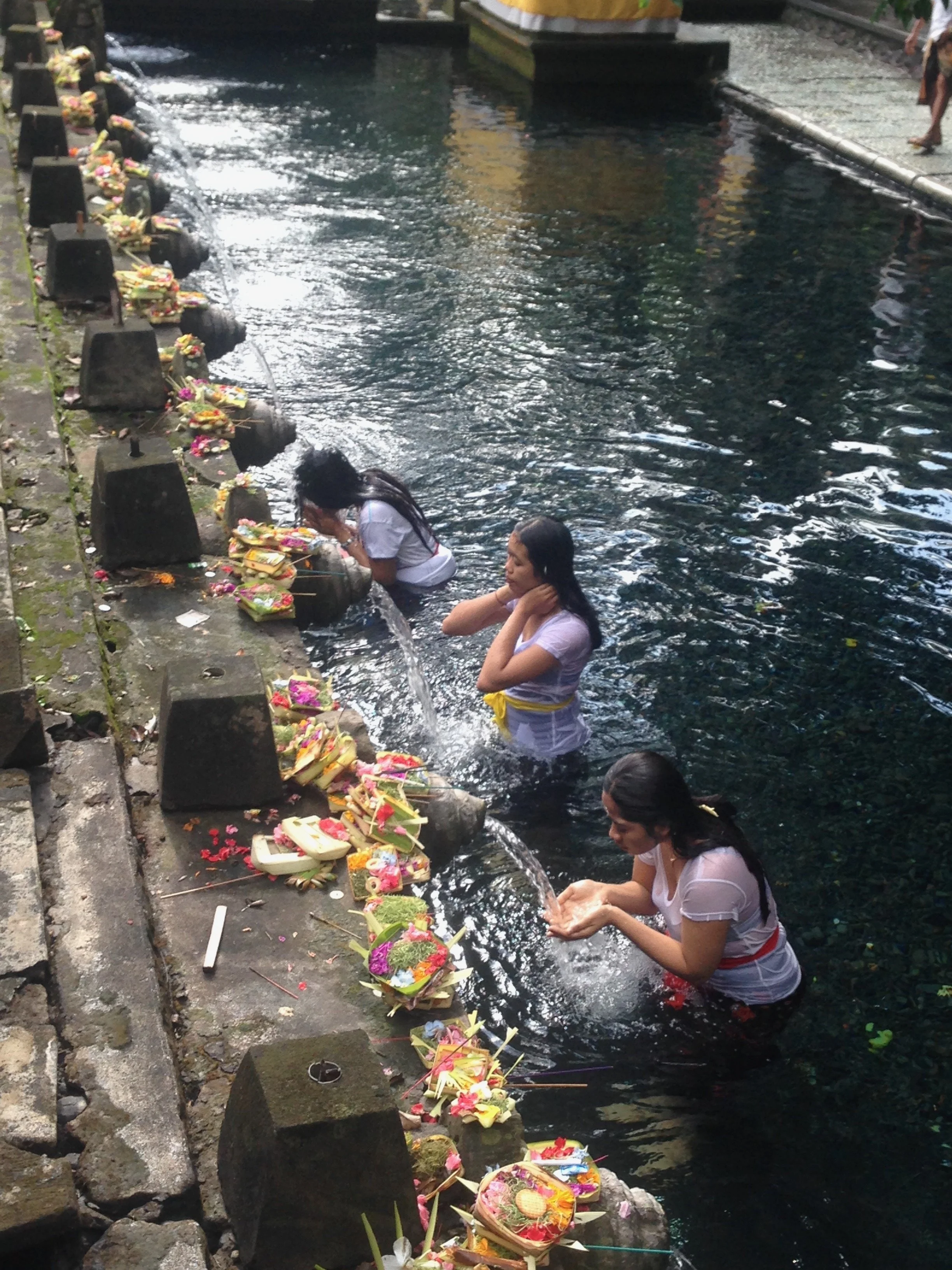 IMG_7902.jpeg