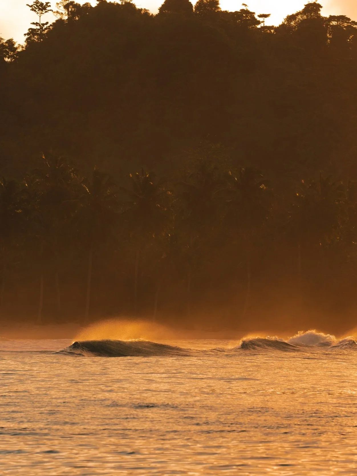 DSC03156-Enhanced-SR copy.jpg