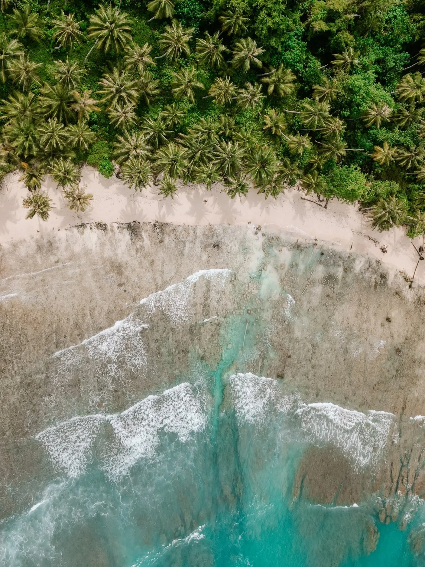 DJI_0176-Enhanced-SR copy.jpg