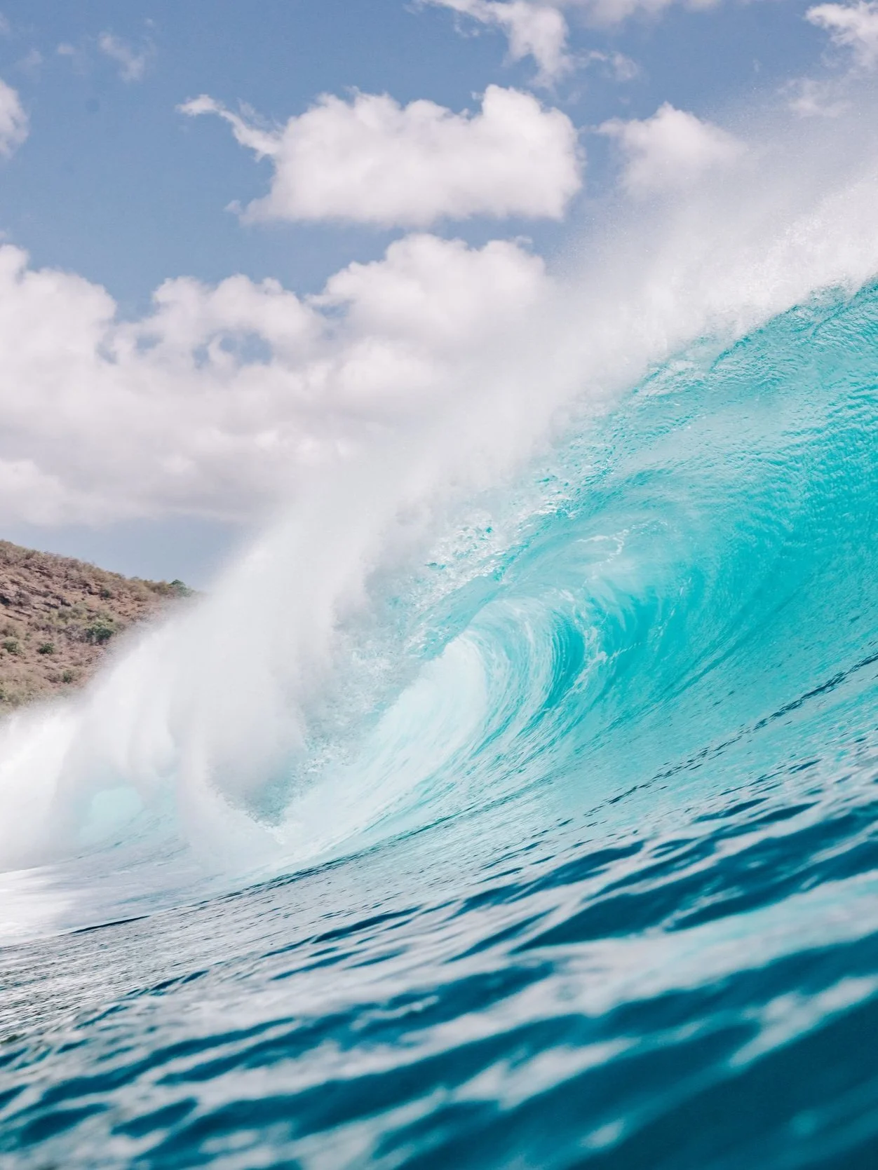 DSC08278-Enhanced-SR copy.jpg