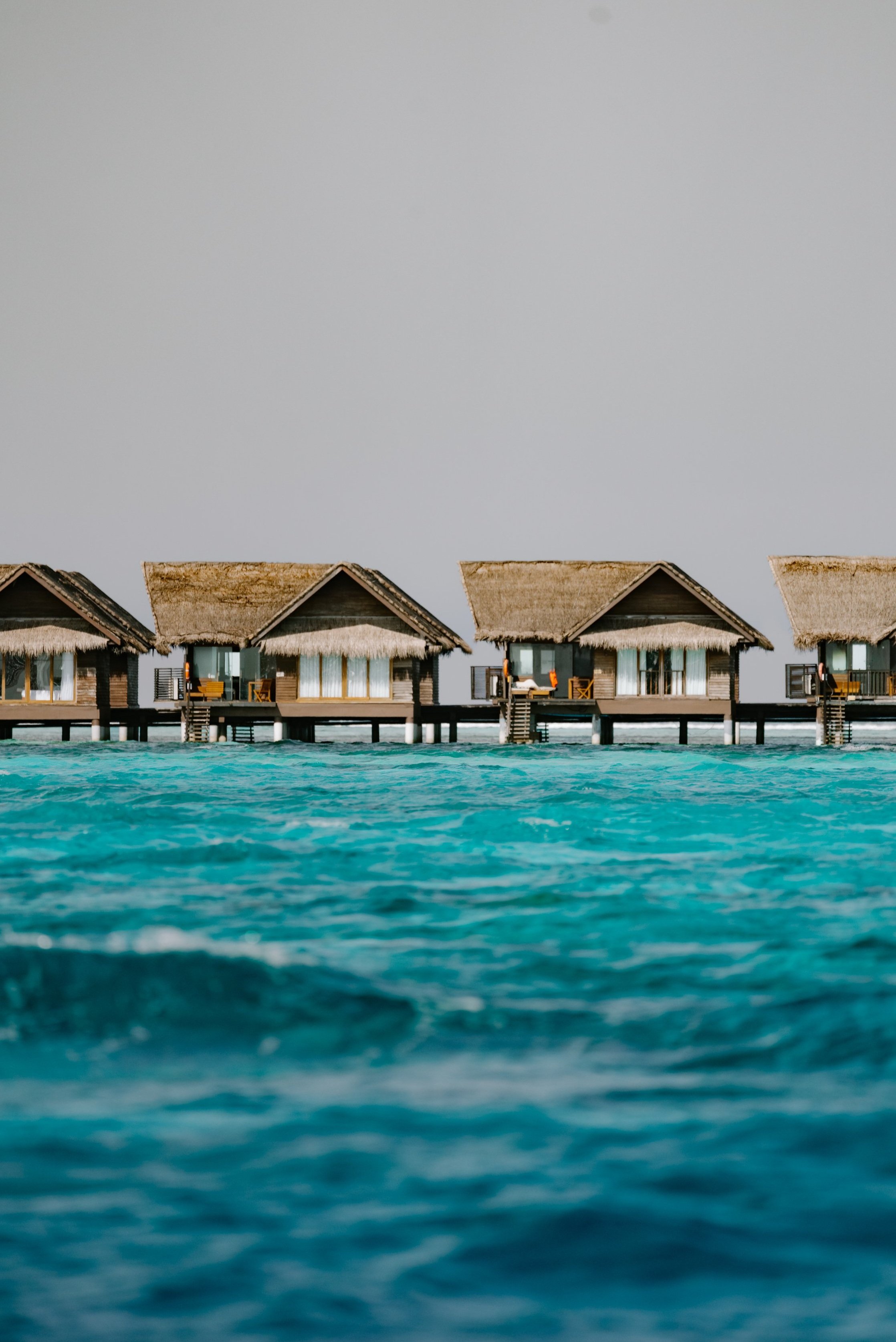 DSC05547-Enhanced-SR copy.jpg