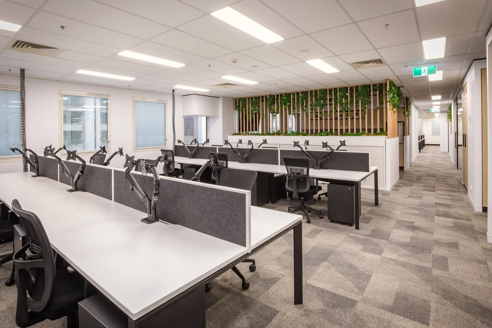 Premise Office Fitout | Open-Plan Workplace Design Brisbane

This Premise office fitout showcases a contemporary open-plan workplace designed to support day-to-day functionality and team collaboration. The space incorporates ergonomic workstations, a
