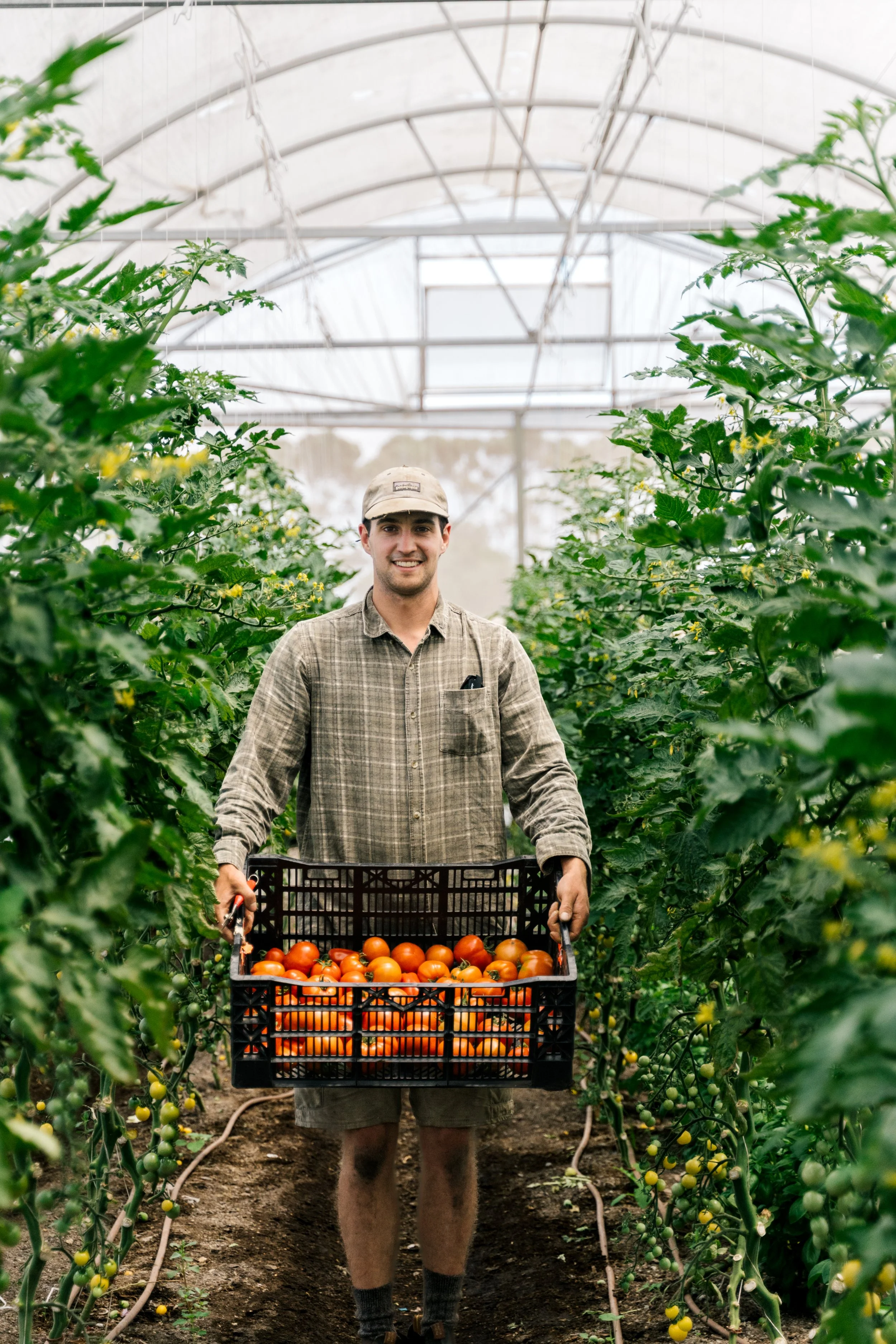 Veg2026summer-62.jpg