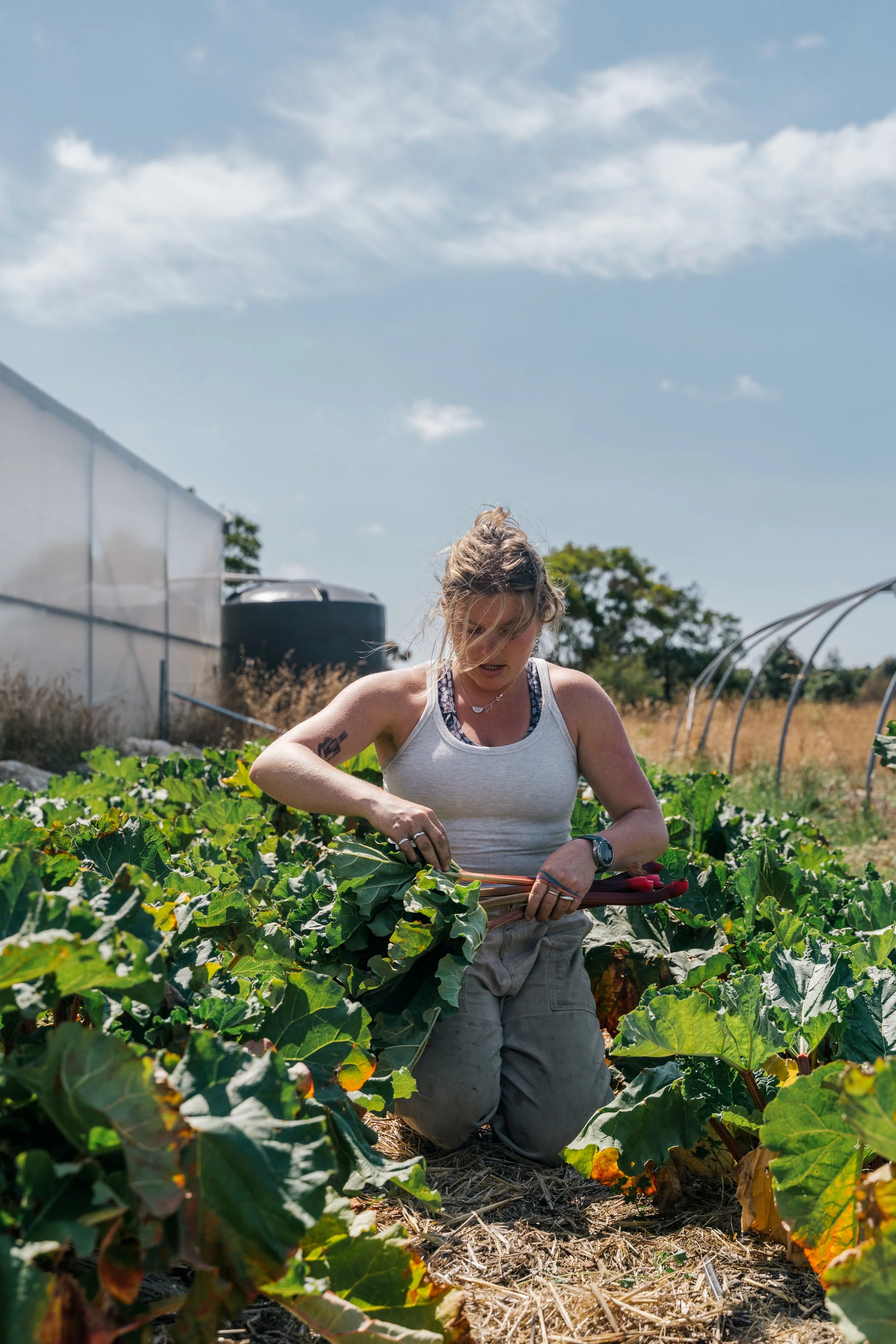 Veg2026summer-28.jpg