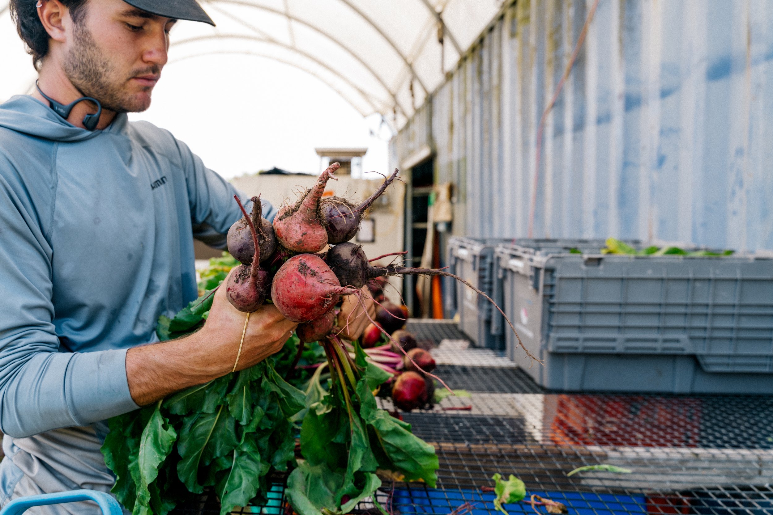 Veg2026summer-31.jpg