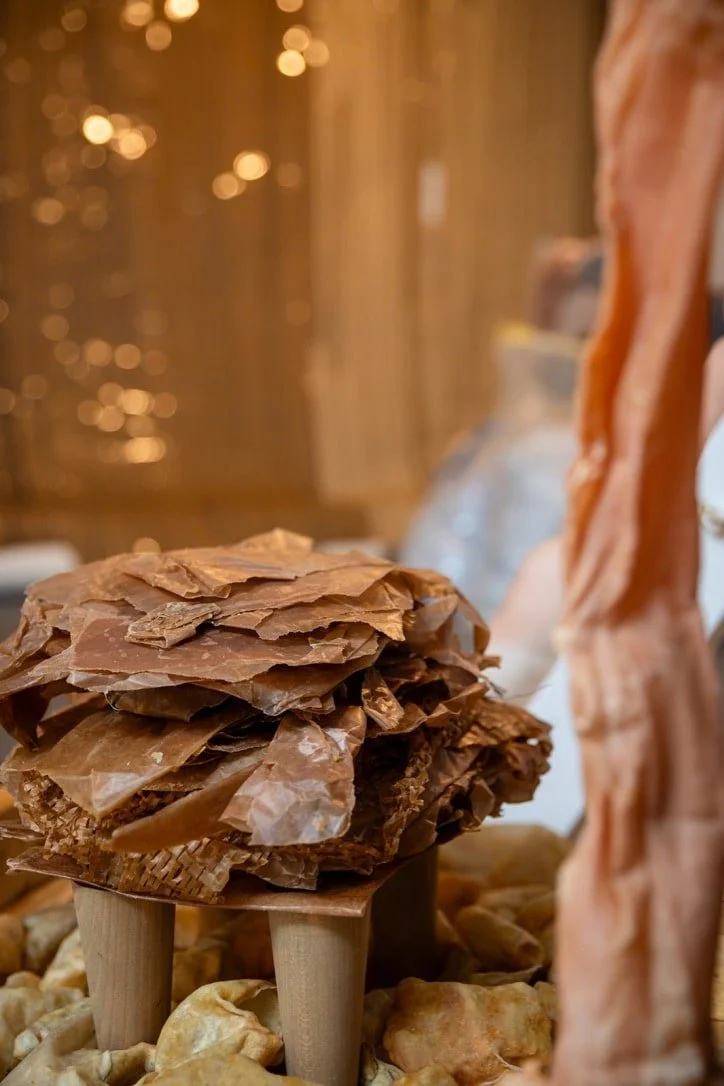 Photograph: Robin Wood Images.
Detail "Inter-Vene: Re-En-Vision: paper skins," 2024.
tissue paper and stockings coated in and handpainted with beeswax.