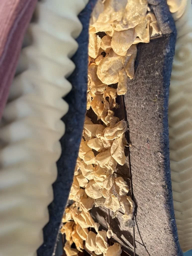 Detail "under the bed," 2024.
latex, foam, carpet and carpet underlay layers.