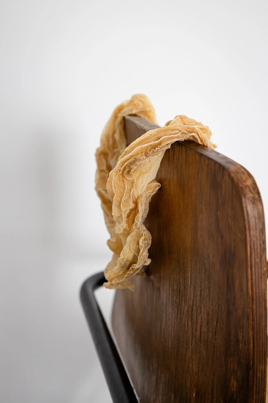 Photograph: Robyn Wood Images,
Detail:
Chair Skin I