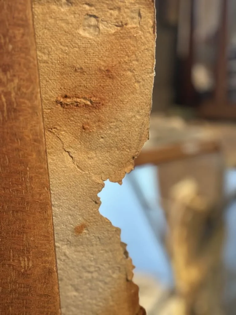 Detail "Domestic Skins," 2024.
handmade paper with trace marks from window-screen mesh.