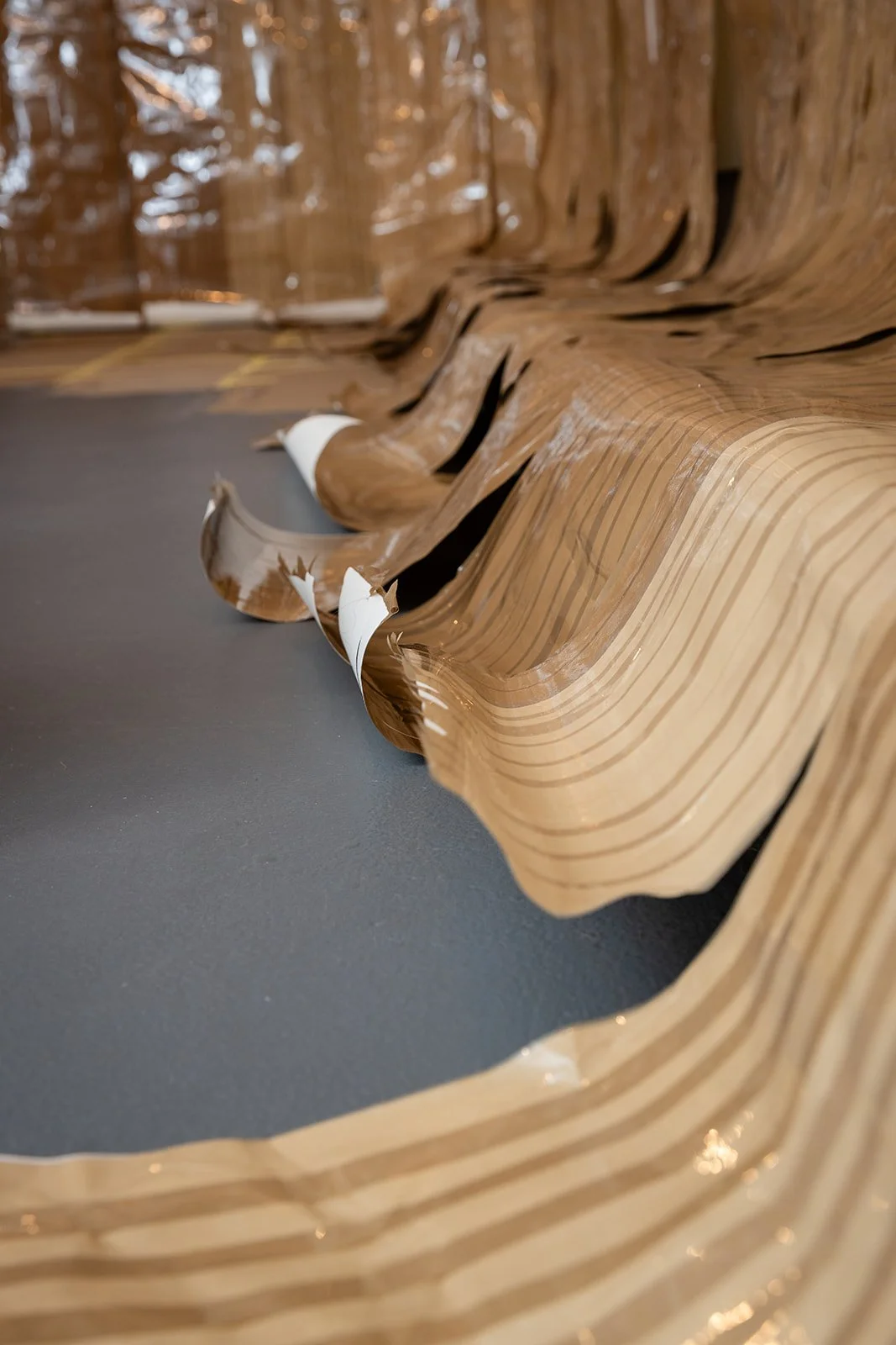 Photograph: Robyn Wood Images,
Detail: Wall Taping.