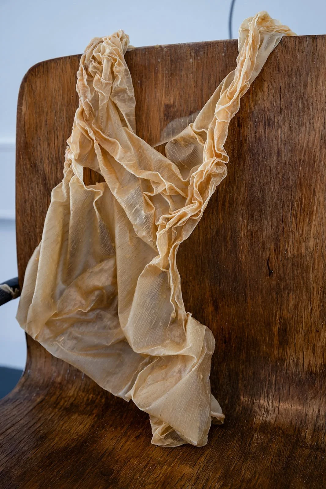 Photograph: Robyn Wood Images,
Detail:
Chair Skin I