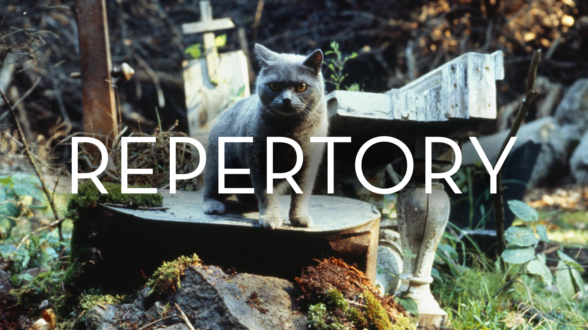 SHF 26 REPERTORY.png