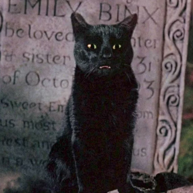 binx.png