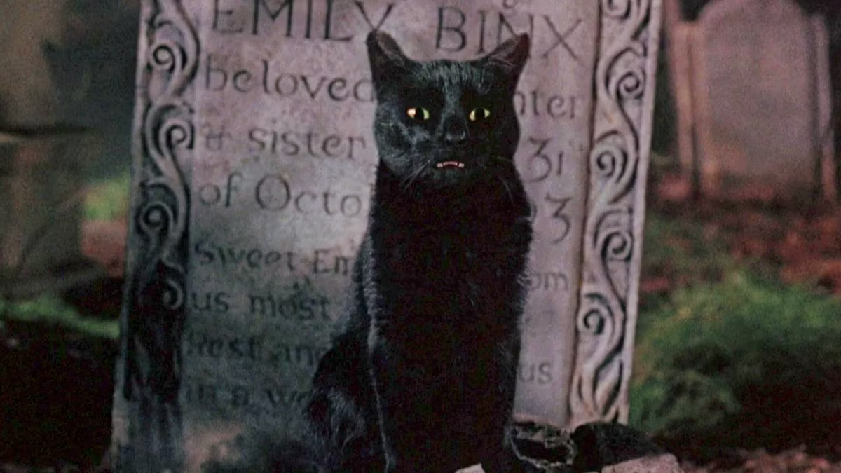 Binx