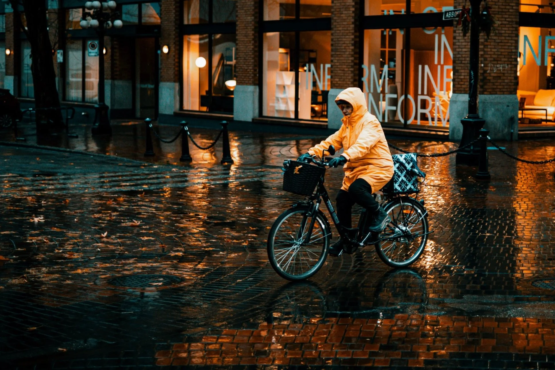 2024_12_13+-+8395+Lr.jpg (Copy) (Copy)