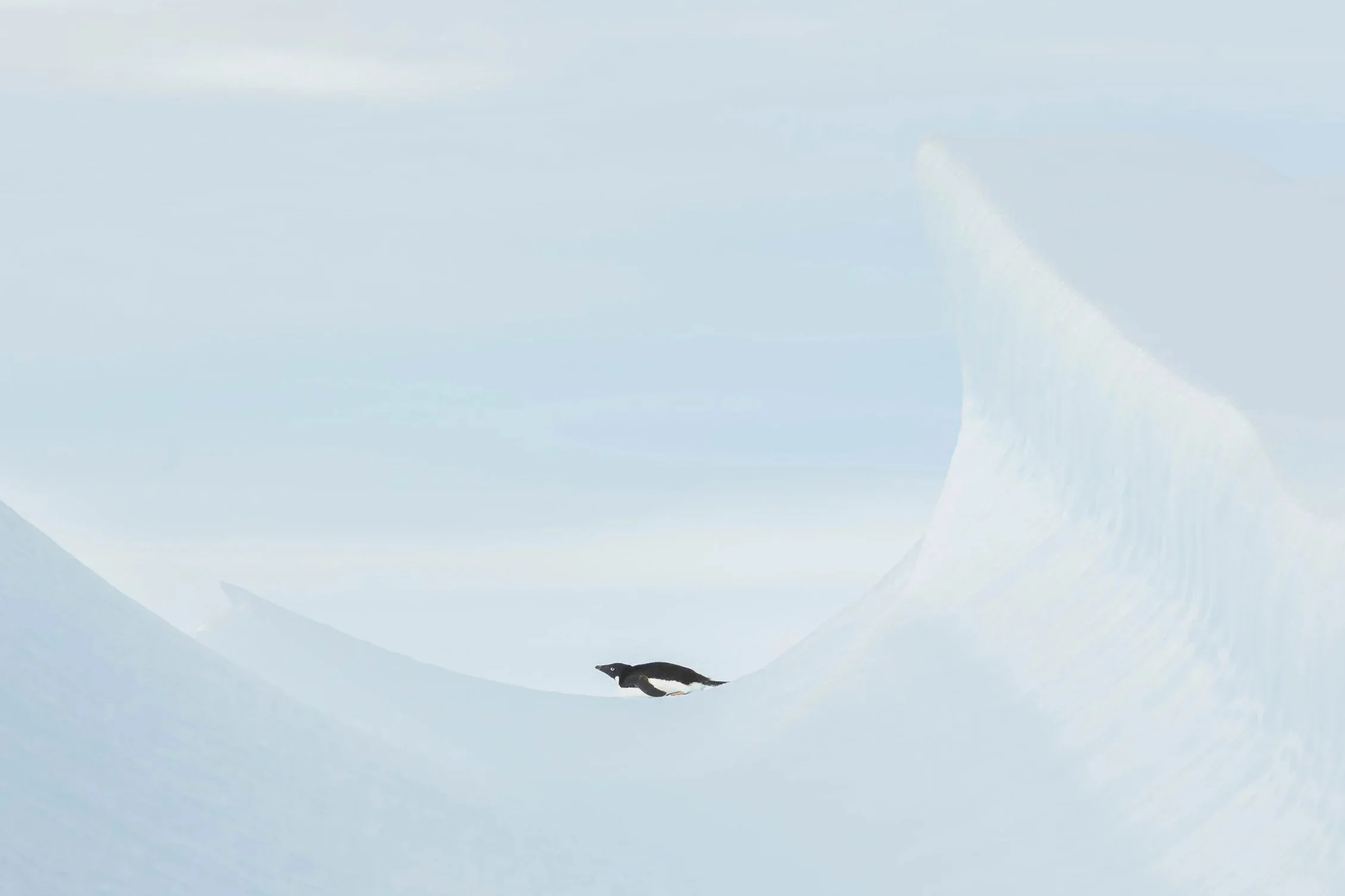 2026_01_09+-+6536+SCP.jpg
