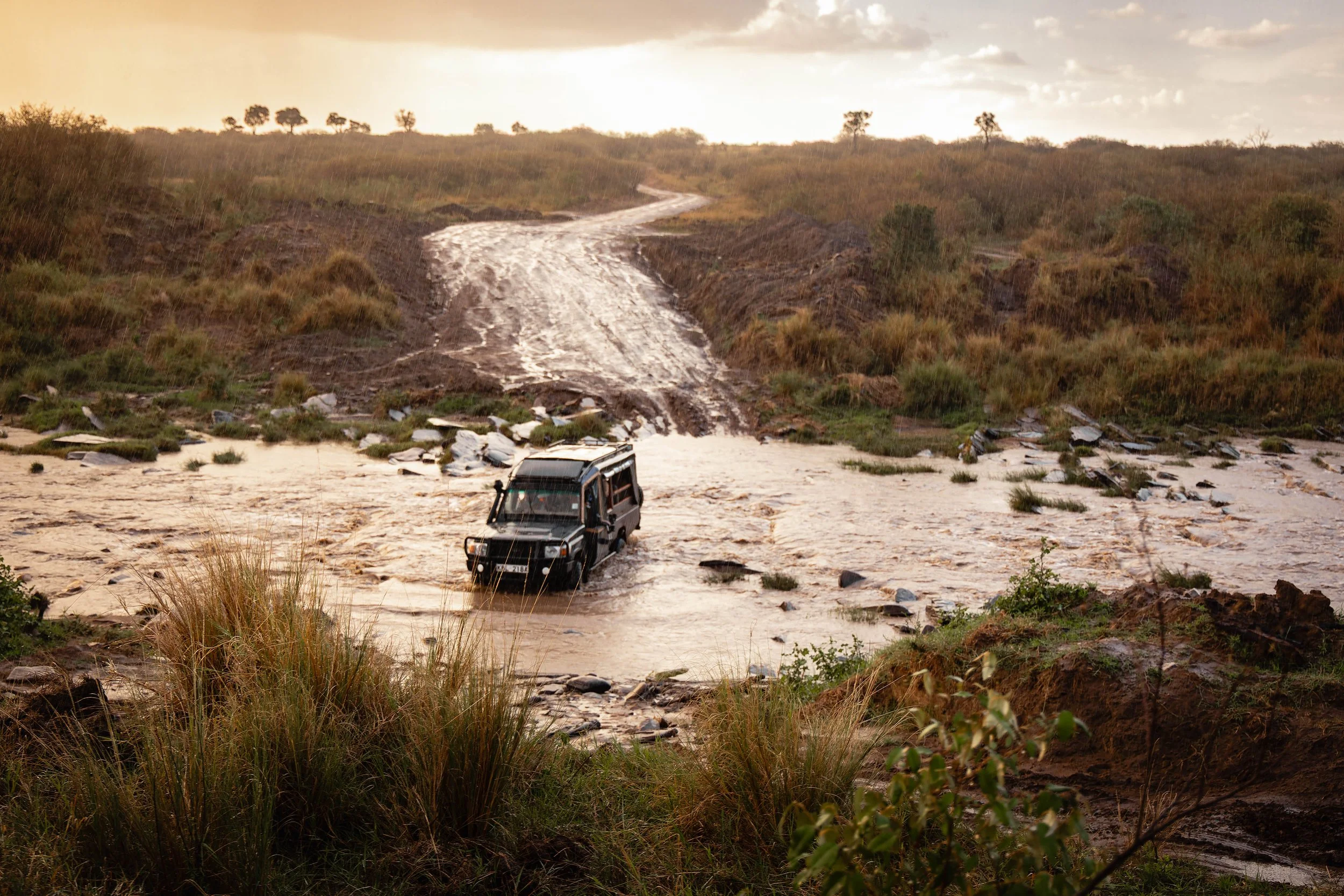 IMG_7838-DxO_DeepPRIME XD2s SCP.jpg