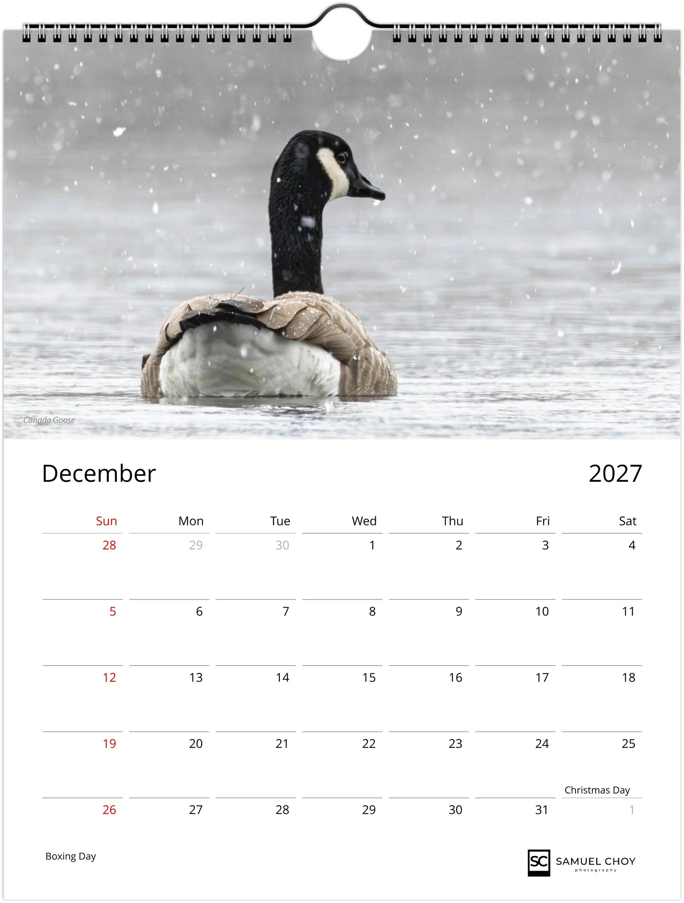month-12.jpeg