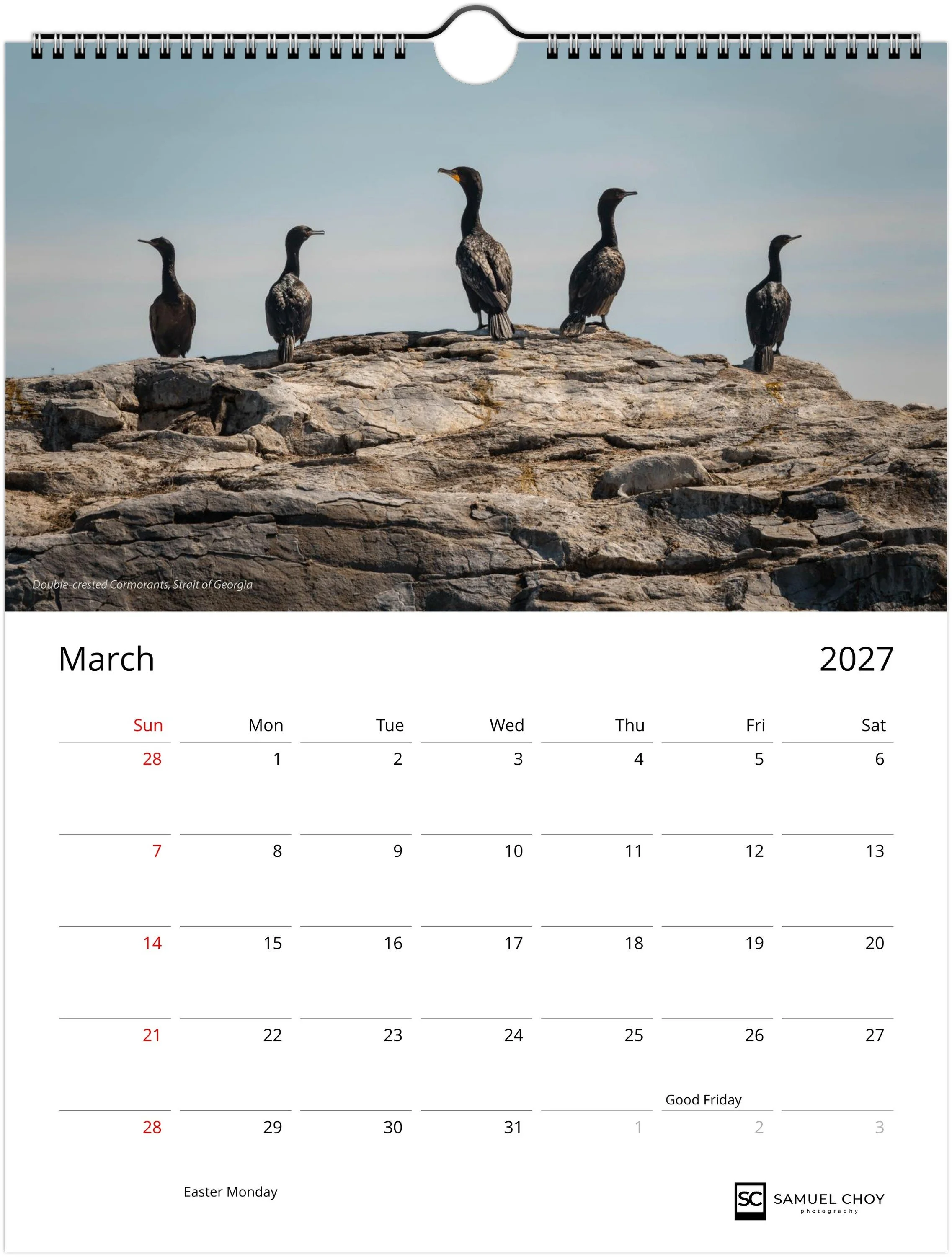 month-3.jpeg