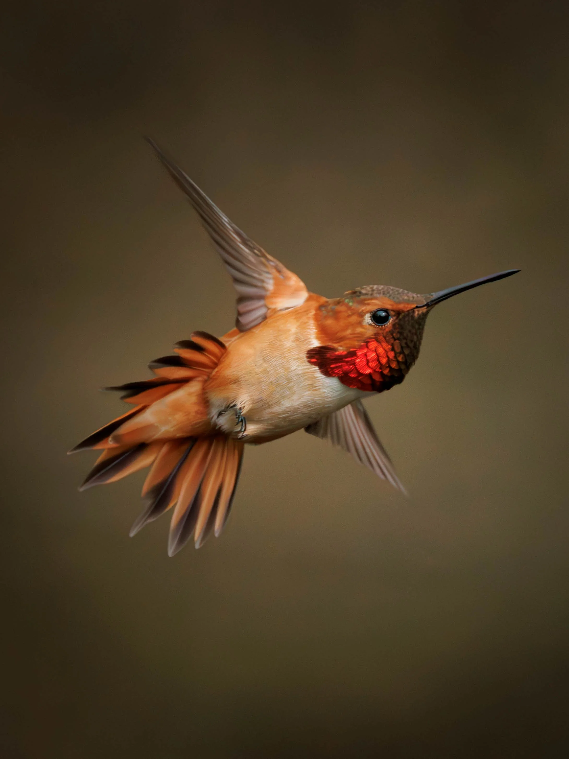 2026_03_26 - 7404 SCP.jpg