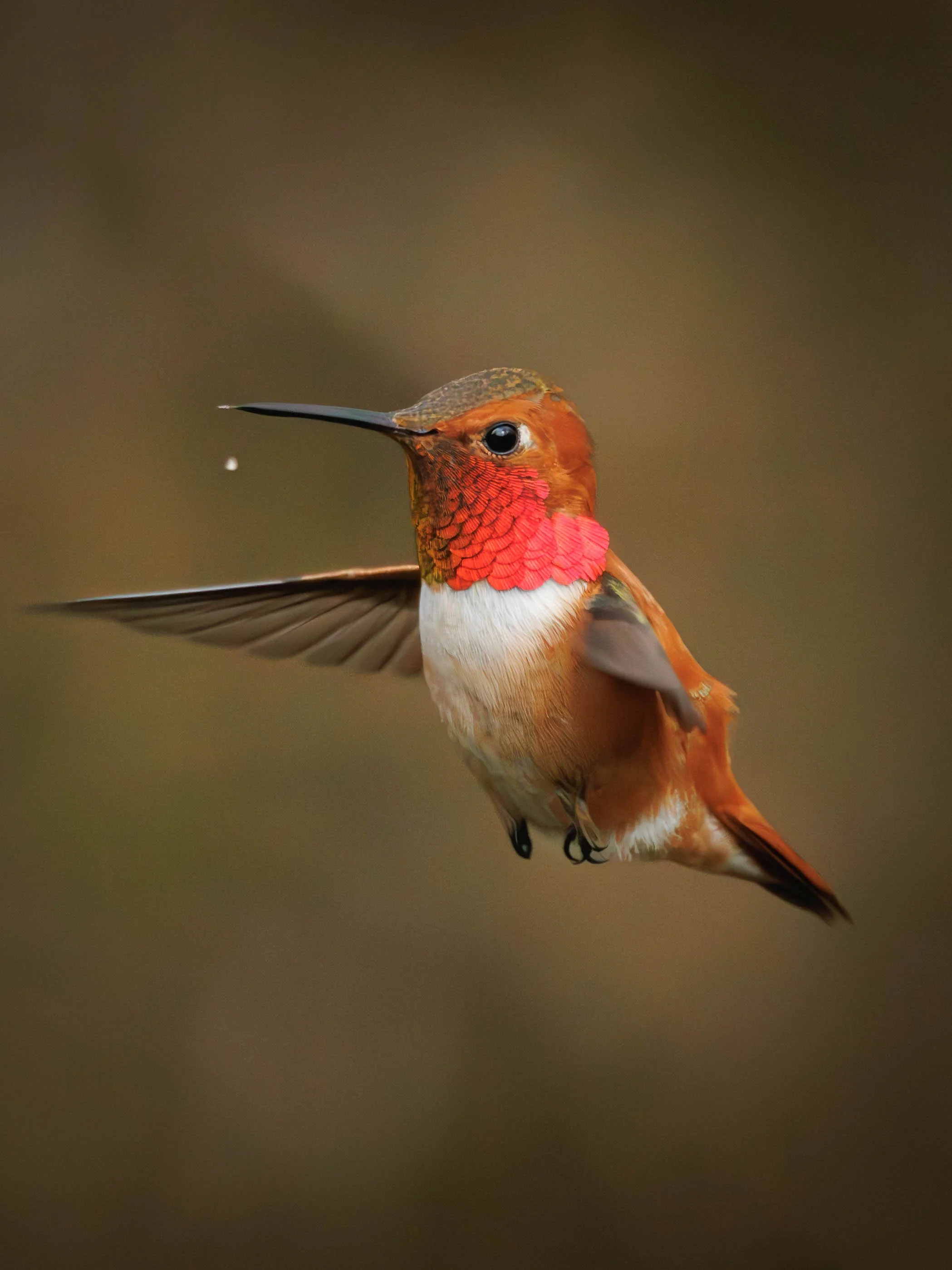 2026_03_26 - 7400 SCP.jpg