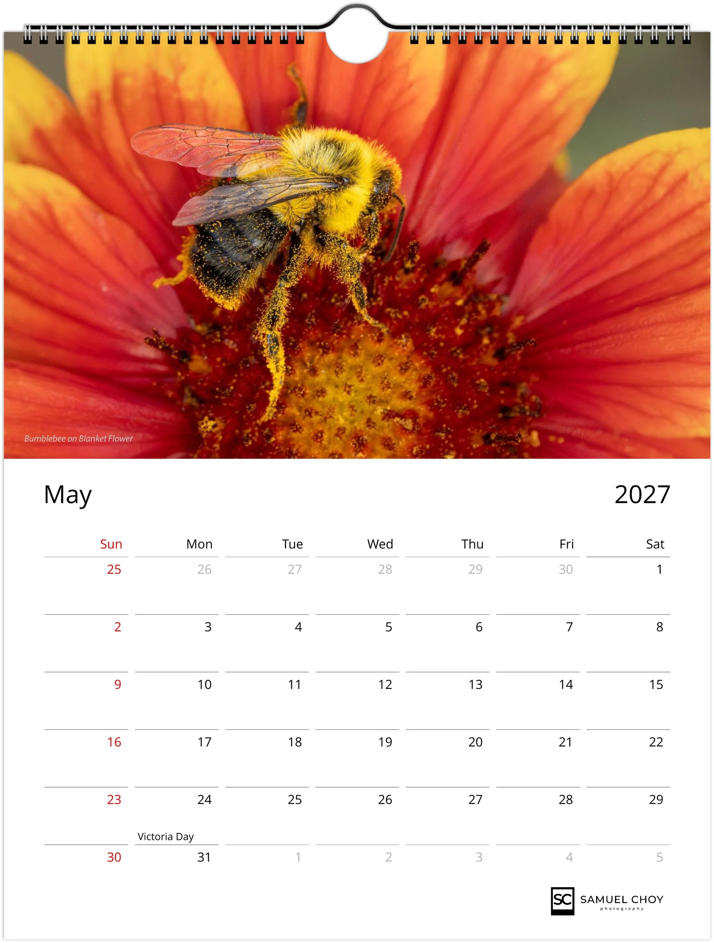month-5.jpeg