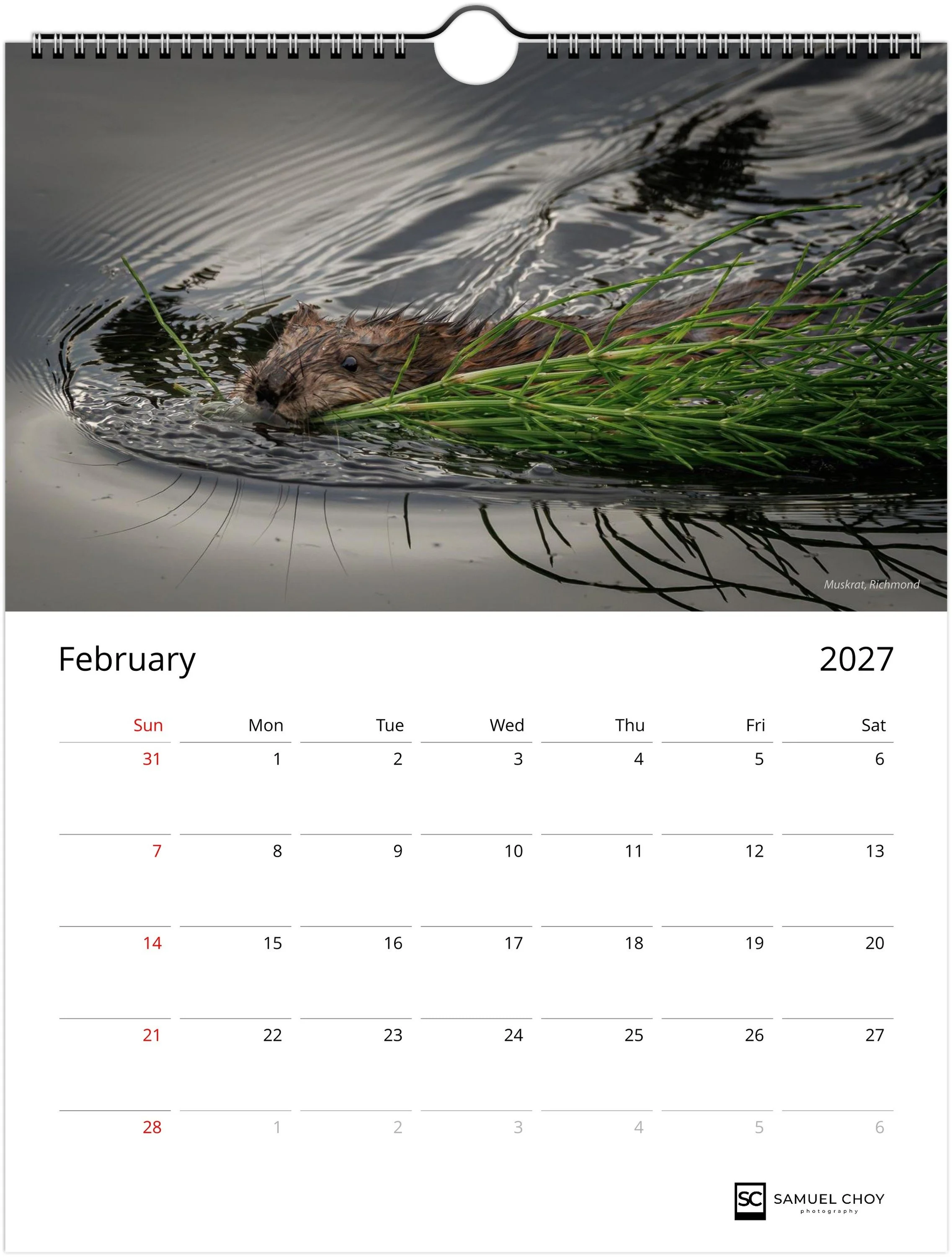 month-2.jpeg
