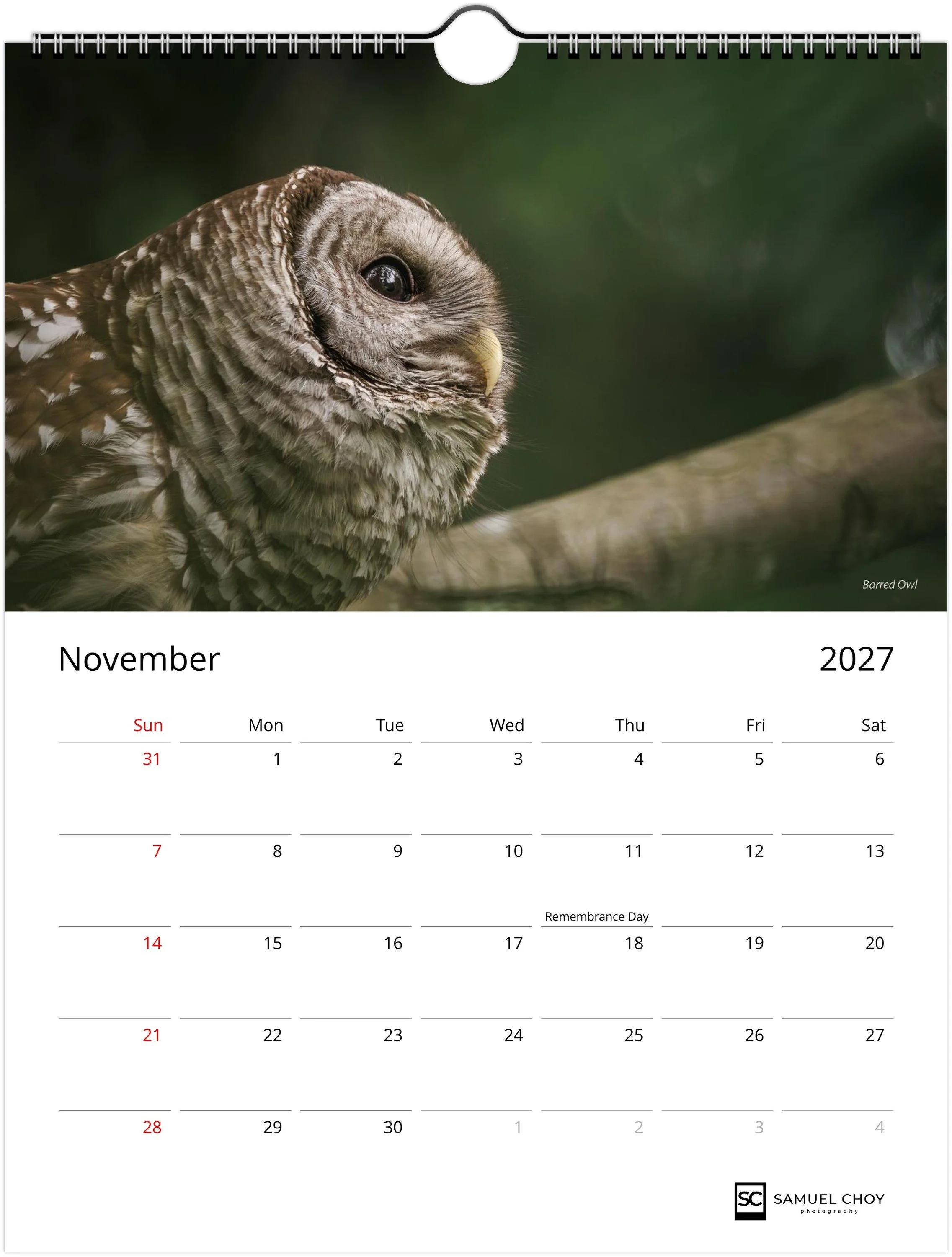 month-11.jpeg