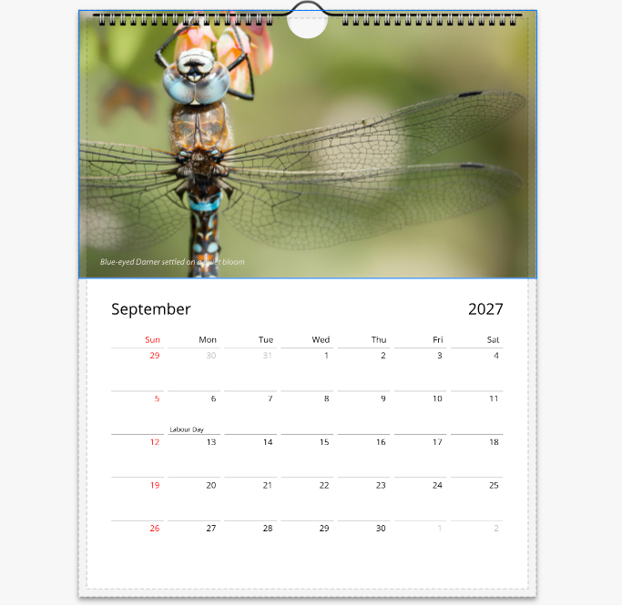screenshot-dashboard.gelato.com-2026.09.07-19_28_48.png