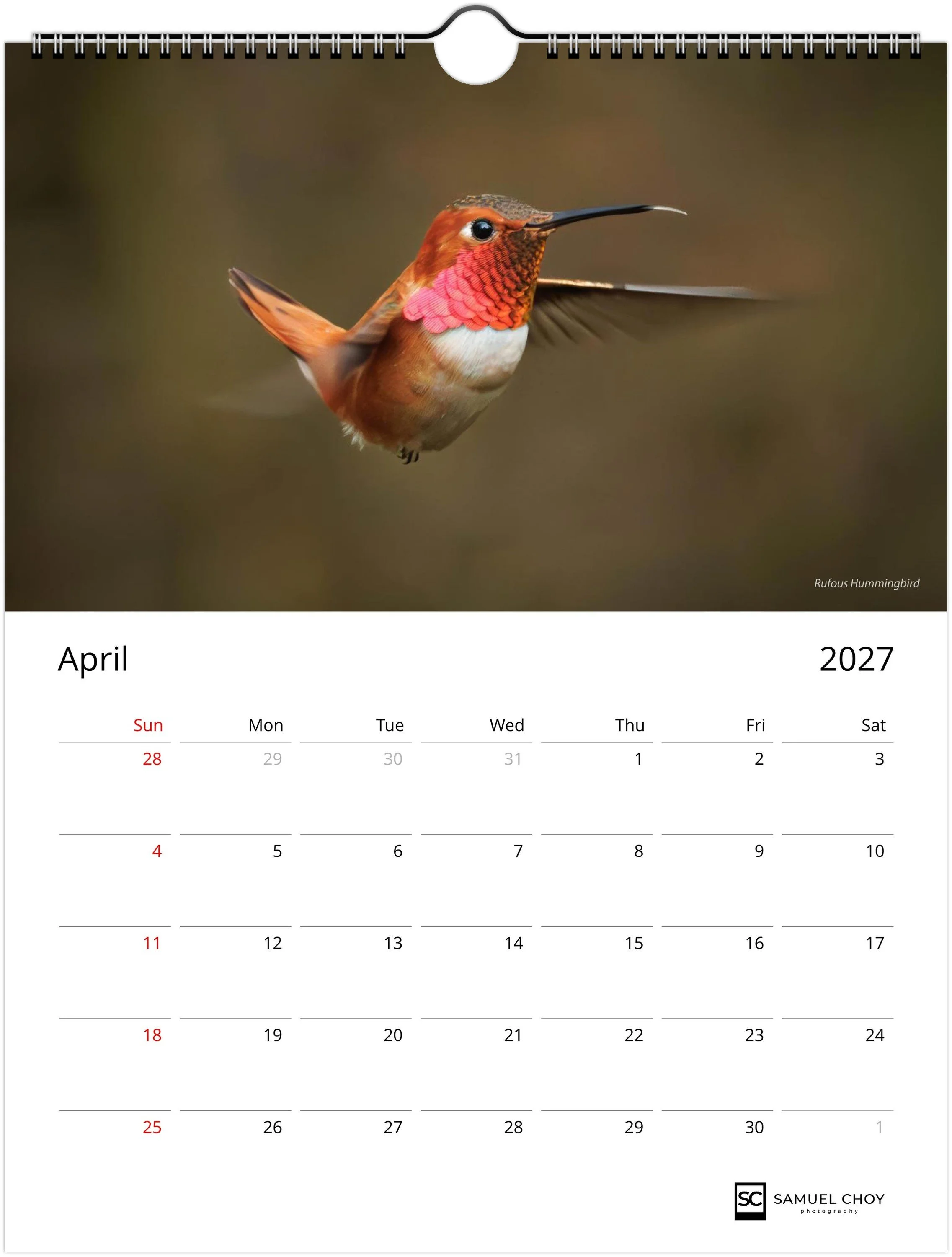 month-4.jpeg