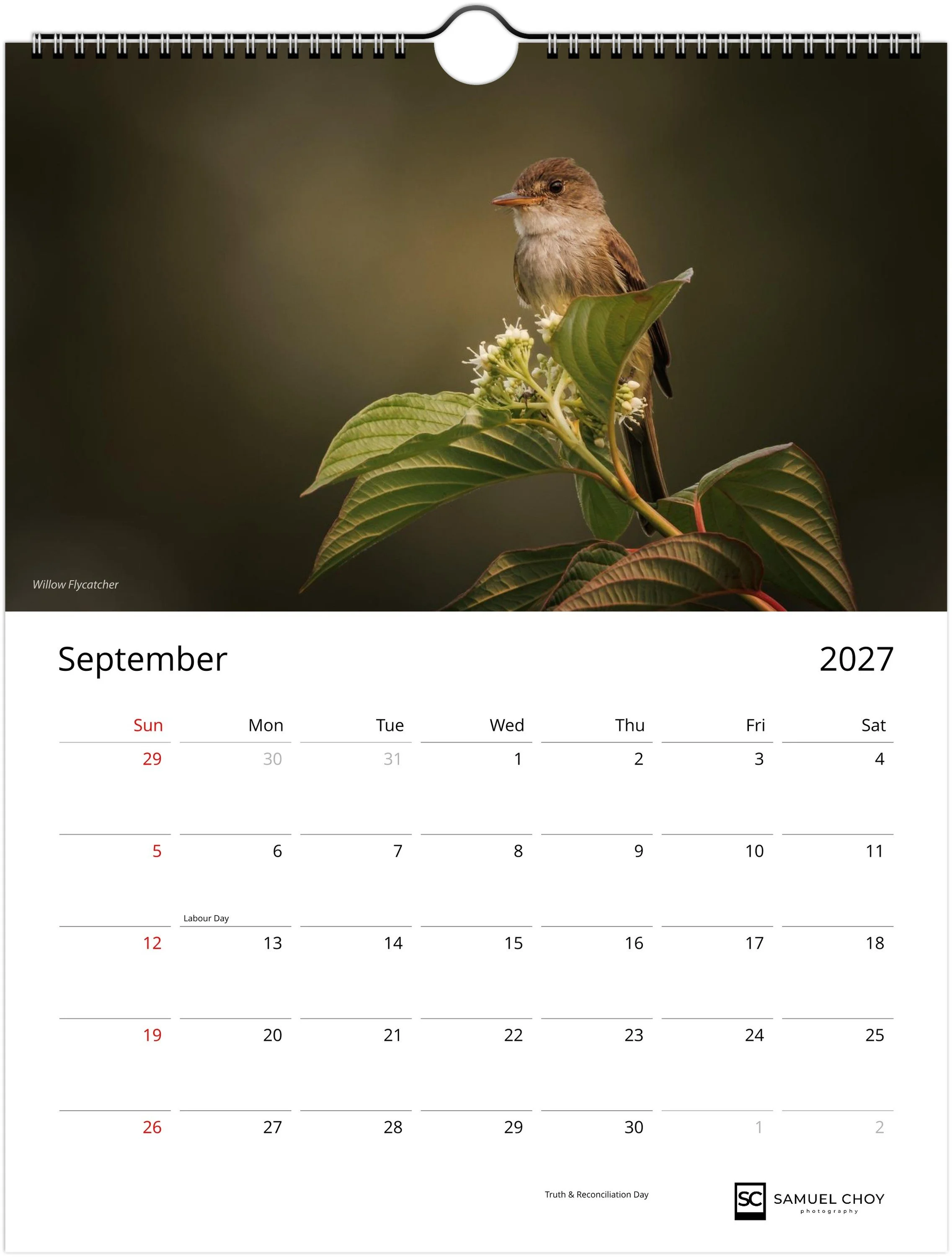 month-9.jpeg