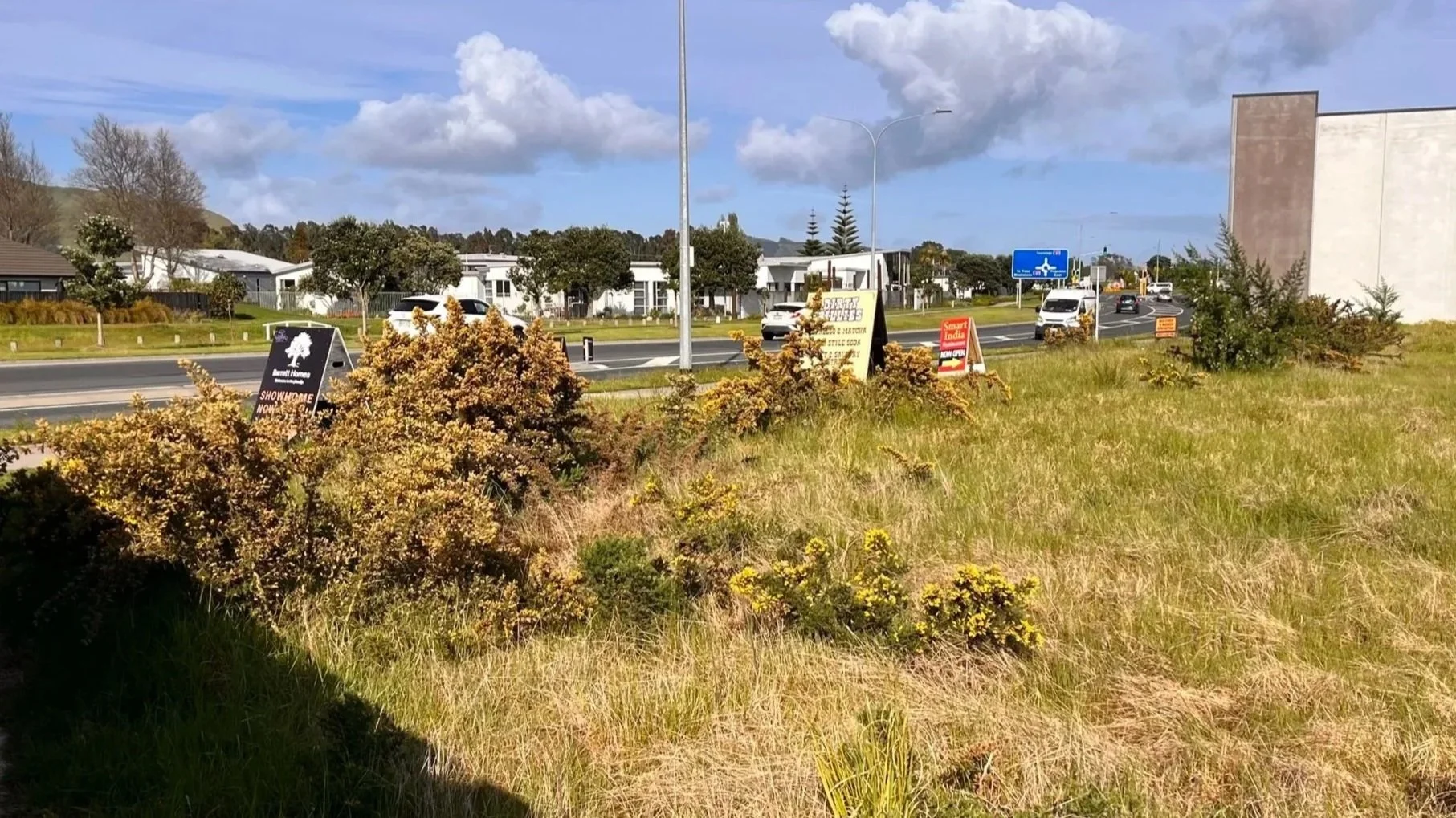 A view of a grassy area with bushes in the foreground and a road with moving vehicles behind. There are multiple advertising signs along the roadside, and in the background are modern homes and buildings, under a partly cloudy sky.