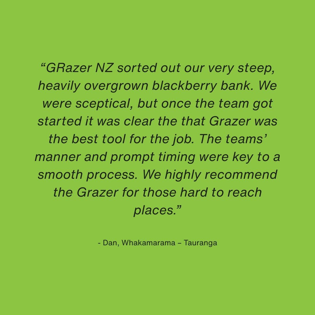 Dan, Whakamarama – Tauranga.jpg