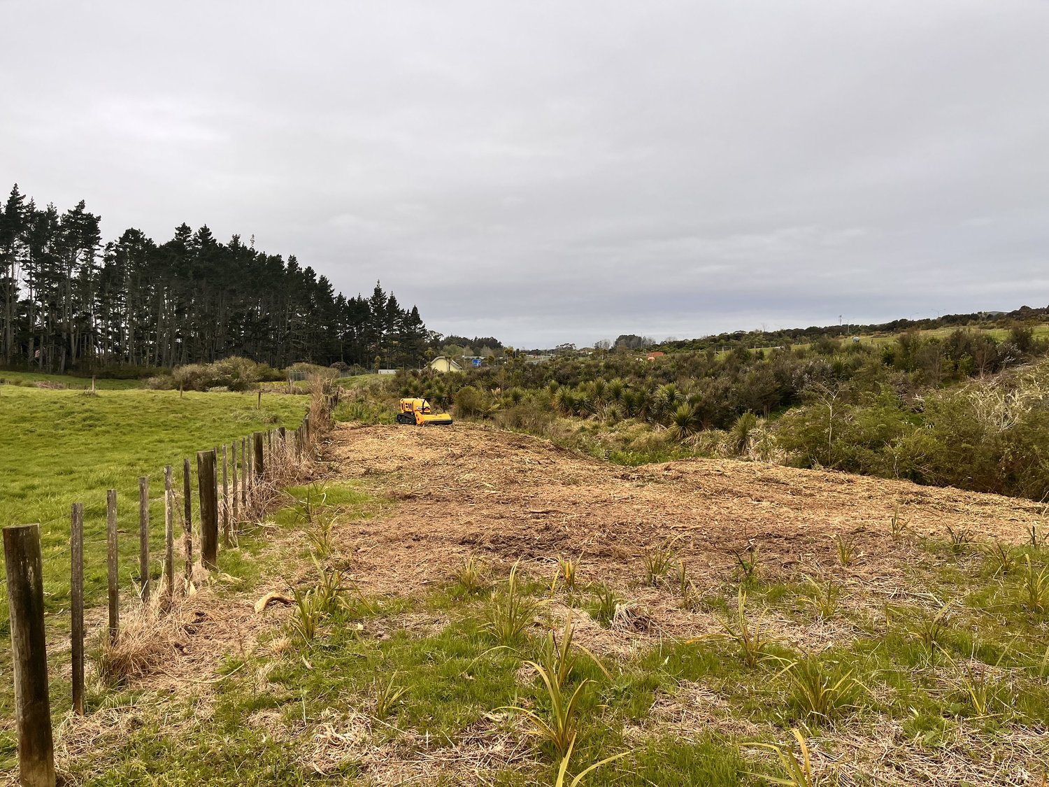 Land Clearing Services North Island — GRazer NZ - Mulching and Land ...