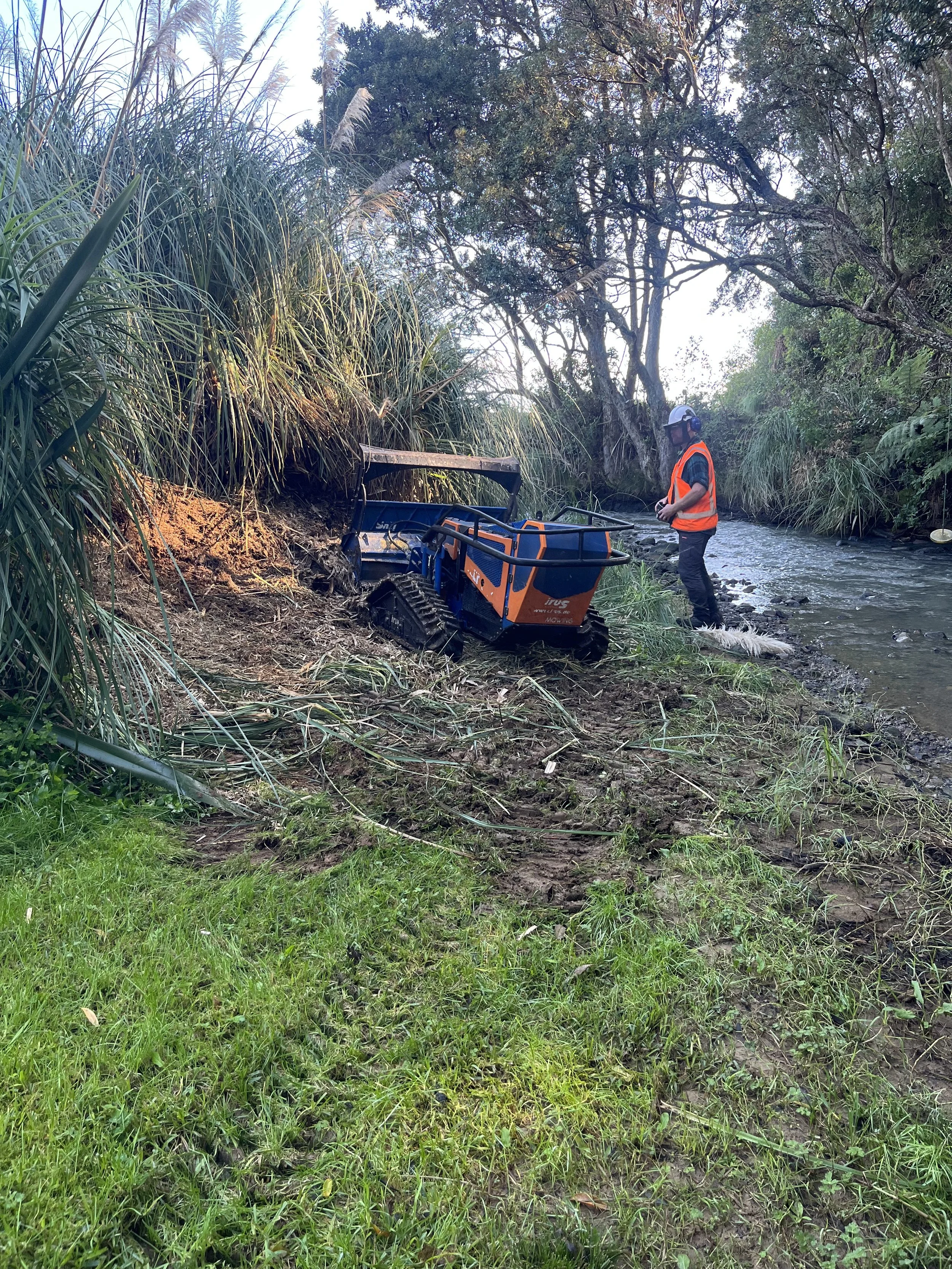 GRazer NZ mulching long, dry grass to reduce fire risk on rural property in the Bay of Plenty.