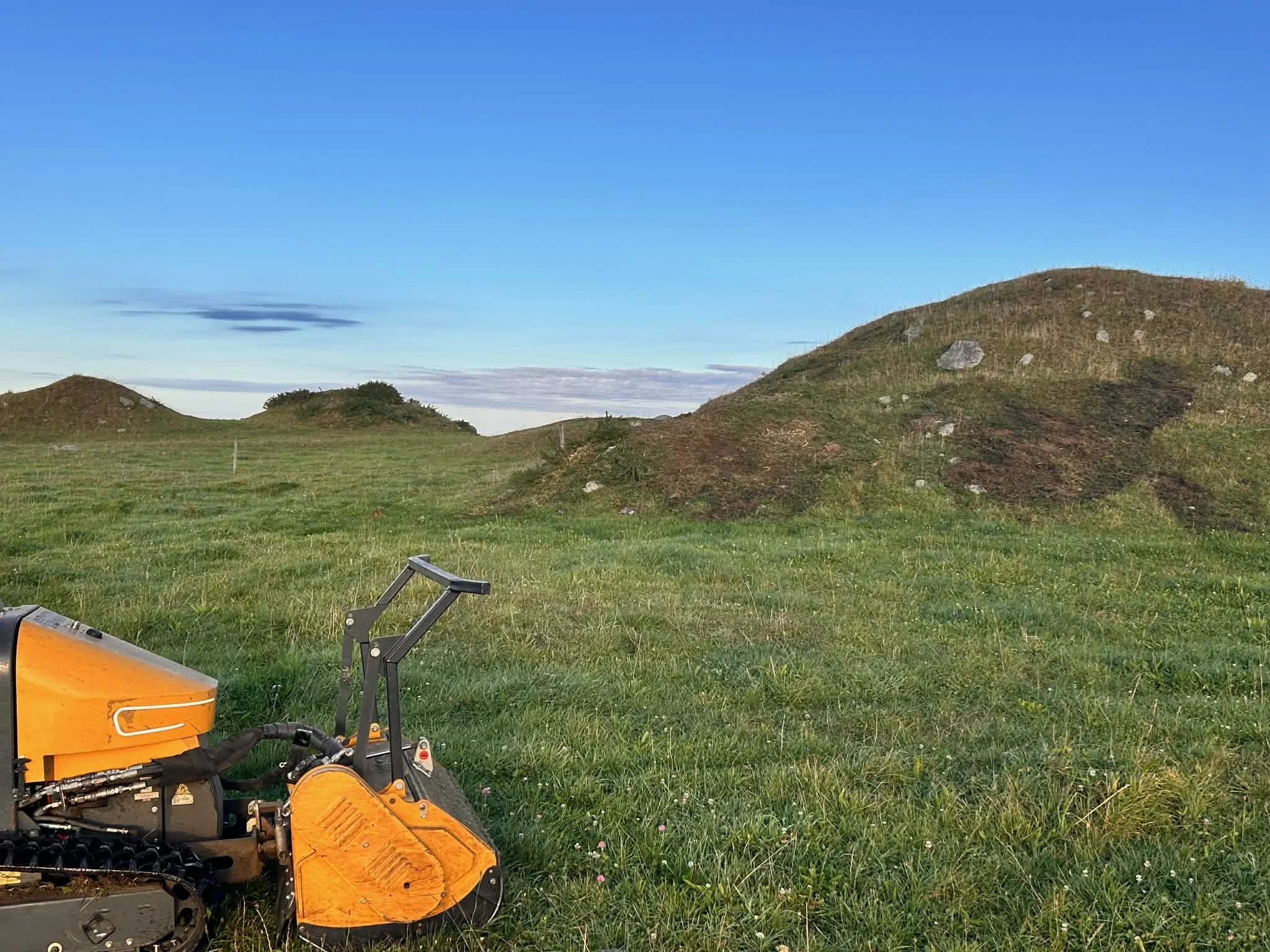 Commercial vegetation management