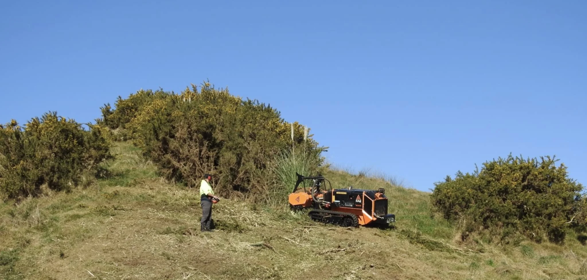 GRazer NZ - overgrown vegetation clearing