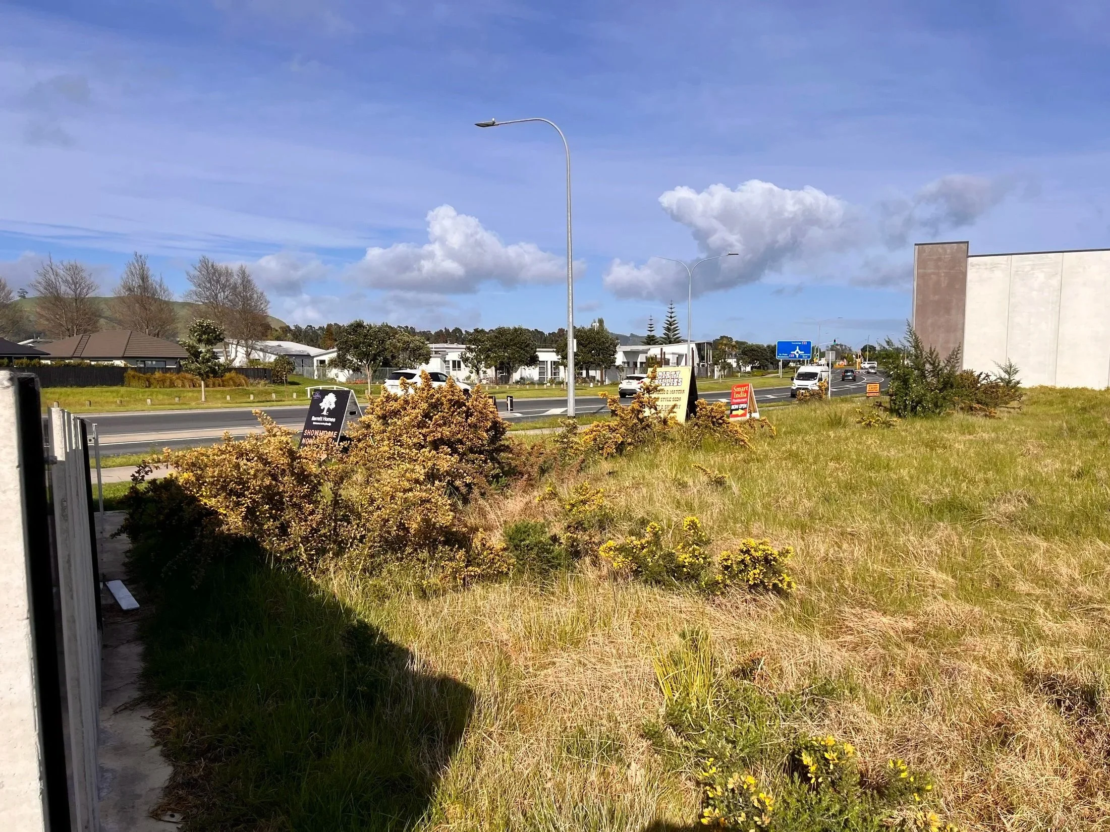 A grassy roadside area with small bushes and signs, overlooking a busy street with several cars and buildings under a partly cloudy sky.