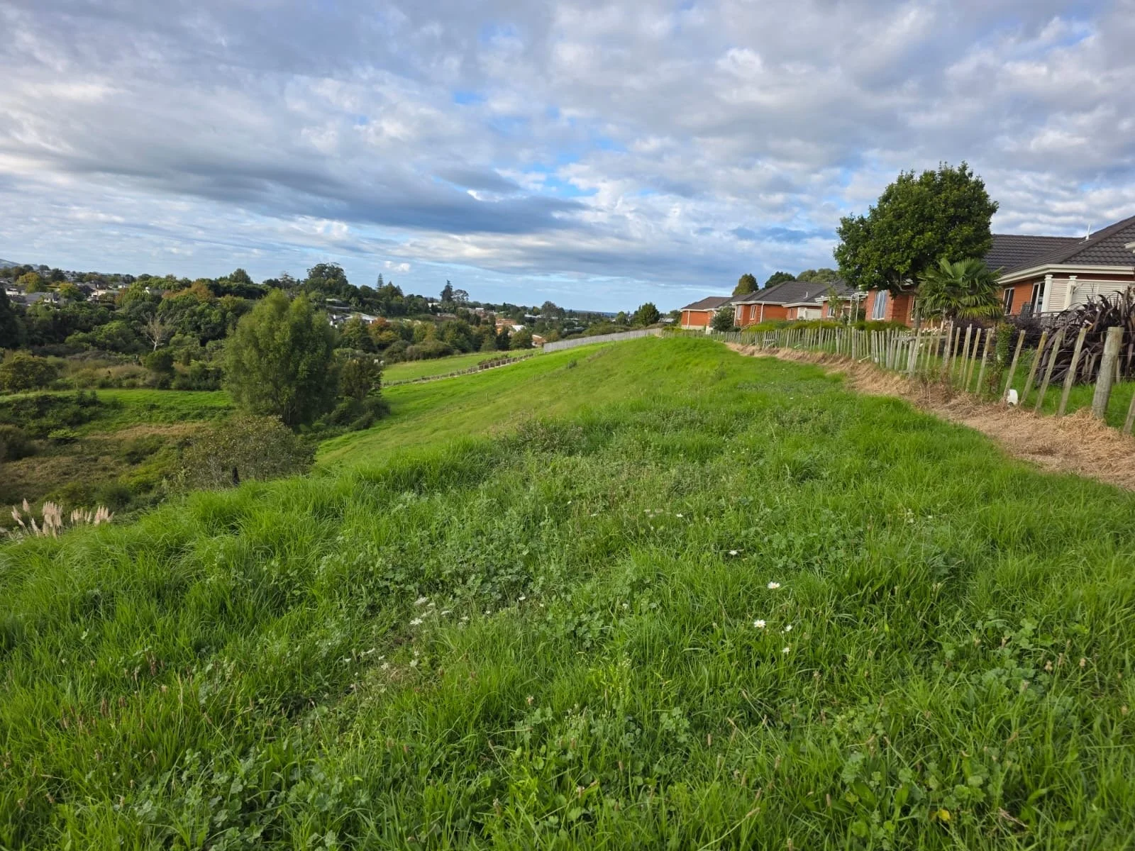A grassy hill with houses and trees on the right and distant trees and buildings on the left under a partly cloudy sky.