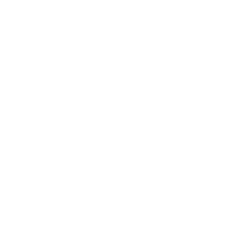 STG Icon Logo.png