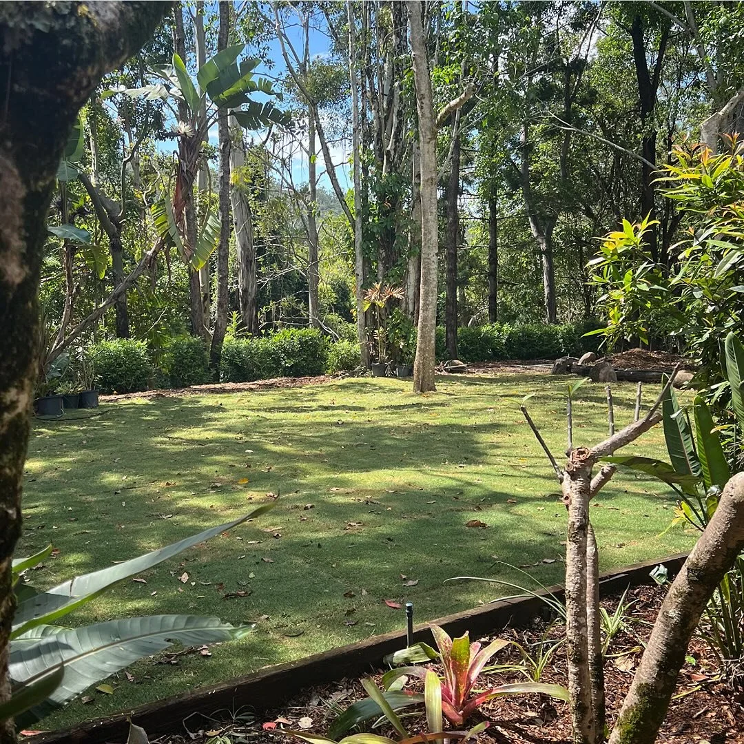 All the nature feels 🍃

Our 3 bed cottage with this outlook is available in November. 

#goldcoastholiday #natureretreat #airbnbgoldcoast